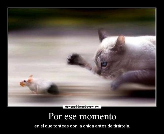 Por ese momento - en el que tonteas con la chica antes de tirártela.