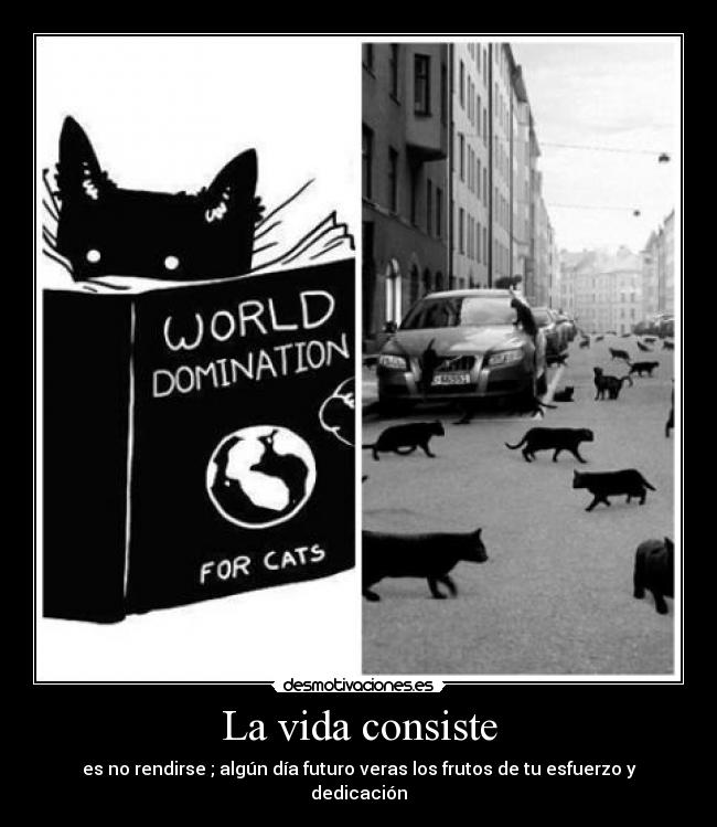 La vida consiste - es no rendirse ; algún día futuro veras los frutos de tu esfuerzo y dedicación