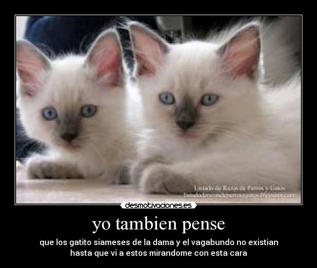 carteles 1234 desmotivaciones