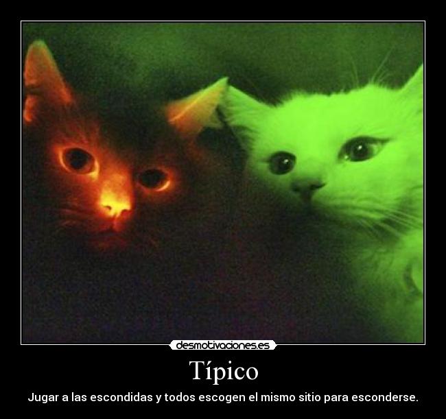 Típico - Jugar a las escondidas y todos escogen el mismo sitio para esconderse.