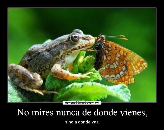 No mires nunca de donde vienes, - sino a donde vas.