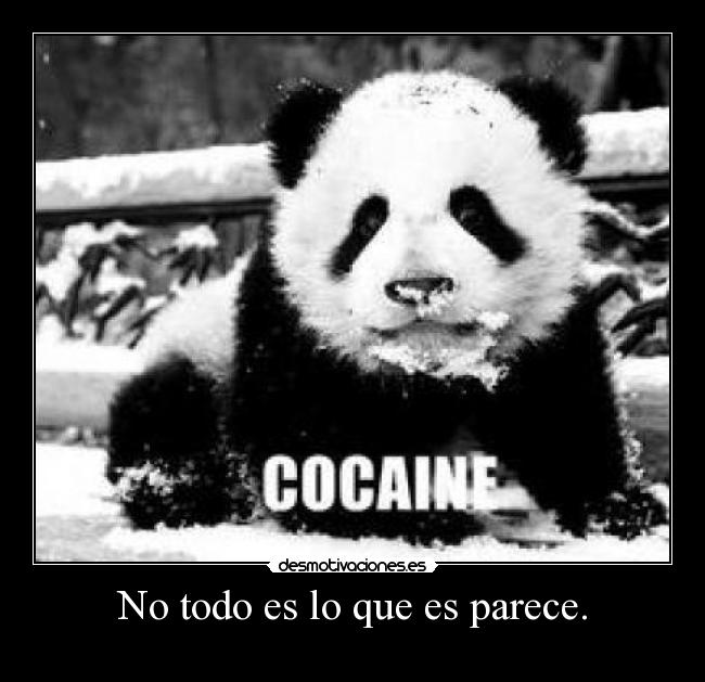 carteles ss1996 desmotivaciones