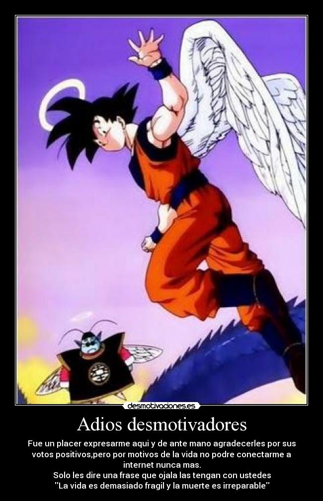 Adios desmotivadores -