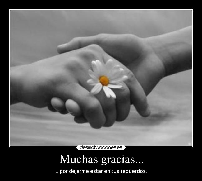Muchas gracias... -