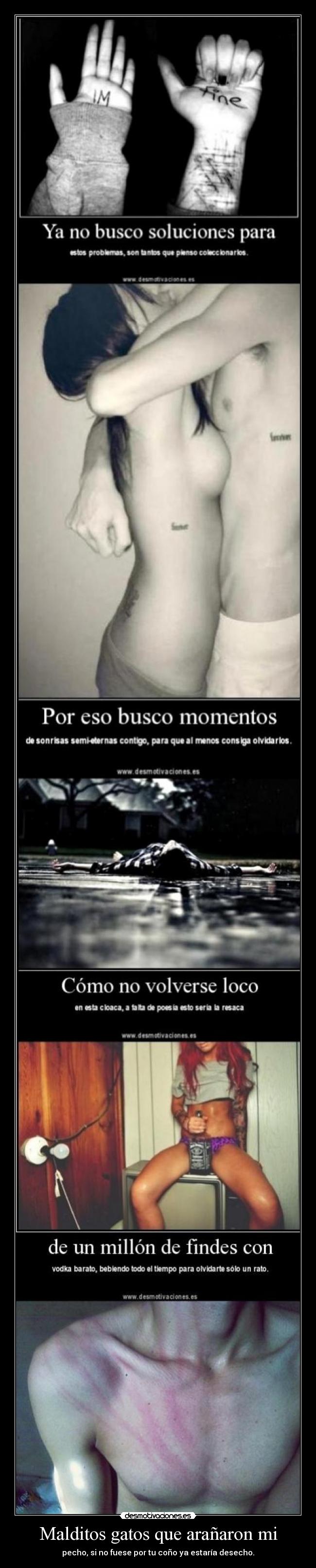 Malditos gatos que arañaron mi - pecho, si no fuese por tu coño ya estaría desecho.