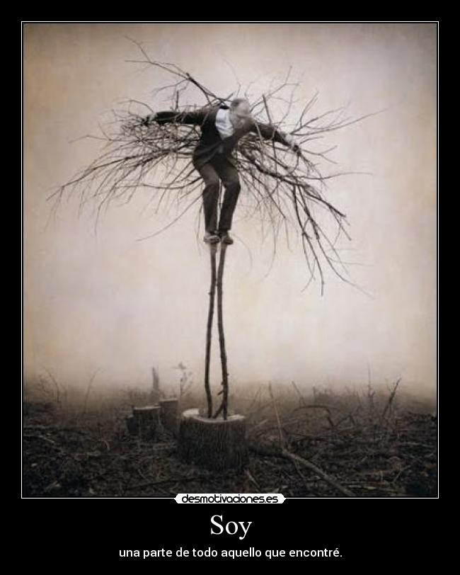 Soy - una parte de todo aquello que encontré.