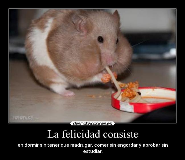La felicidad consiste - 