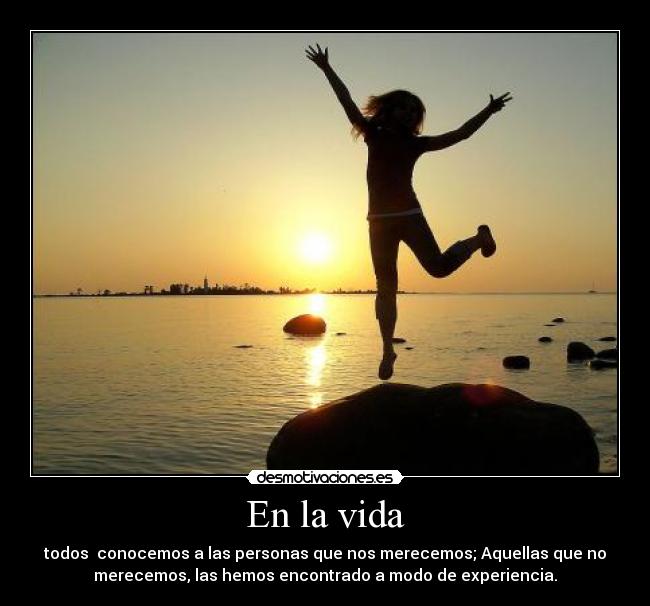 carteles vida vida desmotivaciones