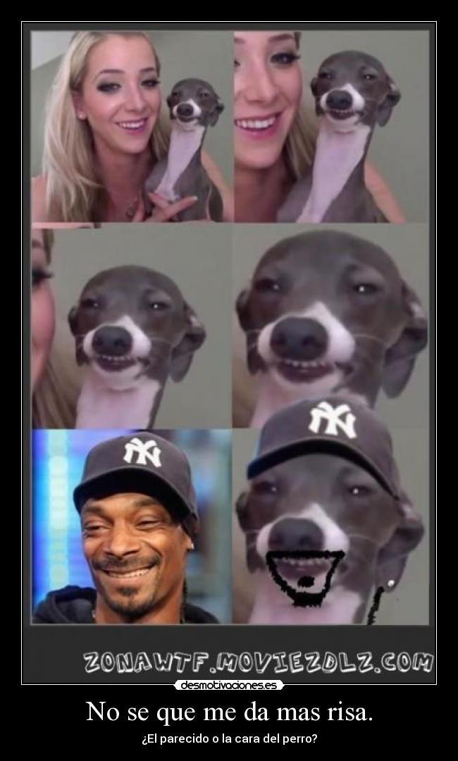 carteles risa parecidos snoop dogg perro desmotivaciones