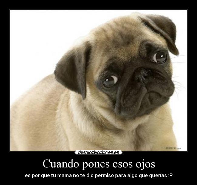 Cuando pones esos ojos - es por que tu mama no te dio permiso para algo que querías :P