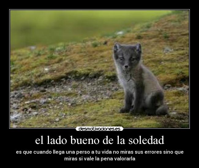 el lado bueno de la soledad - 