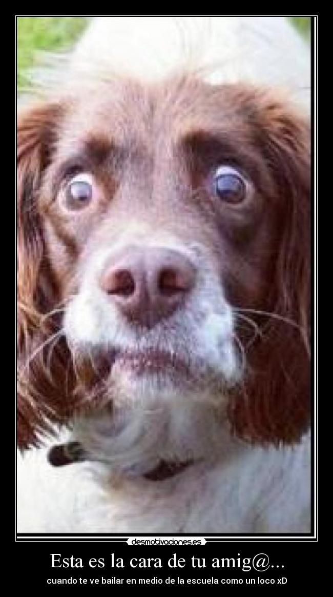Esta es la cara de tu amig@... -