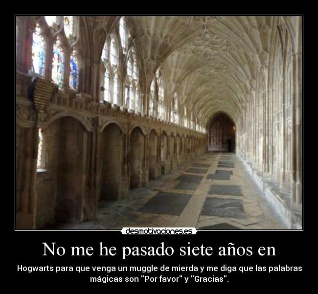 No me he pasado siete años en - Hogwarts para que venga un muggle de mierda y me diga que las palabras
mágicas son Por favor y Gracias.