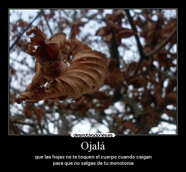 Ojalá - que las hojas no te toquen el cuerpo cuando caigan
para que no salgas de tu monotonia