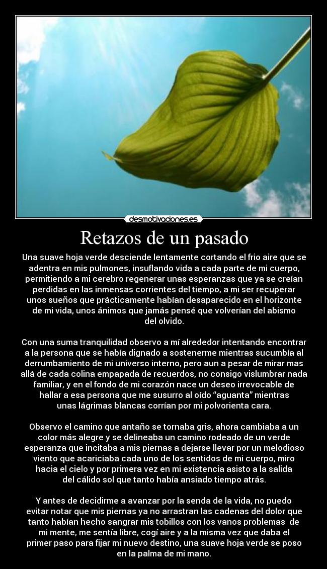 Retazos de un pasado - Una suave hoja verde desciende lentamente cortando el frio aire que se
adentra en mis pulmones, insuflando vida a cada parte de mi cuerpo,
permitiendo a mi cerebro regenerar unas esperanzas que ya se creían
perdidas en las inmensas corrientes del tiempo, a mi ser recuperar
unos sueños que prácticamente habían desaparecido en el horizonte
de mi vida, unos ánimos que jamás pensé que volverían del abismo
del olvido.
Con una suma tranquilidad observo a mí alrededor intentando encontrar
a la persona que se había dignado a sostenerme mientras sucumbía al
derrumbamiento de mi universo interno, pero aun a pesar de mirar mas
allá de cada colina empapada de recuerdos, no consigo vislumbrar nada
familiar, y en el fondo de mi corazón nace un deseo irrevocable de
hallar a esa persona que me susurro al oído “aguanta” mientras
unas lágrimas blancas corrían por mi polvorienta cara.
Observo el camino que antaño se tornaba gris, ahora cambiaba a un
color más alegre y se delineaba un camino rodeado de un verde
esperanza que incitaba a mis piernas a dejarse llevar por un melodioso
viento que acariciaba cada uno de los sentidos de mi cuerpo, miro
hacia el cielo y por primera vez en mi existencia asisto a la salida
del cálido sol que tanto había ansiado tiempo atrás.
Y antes de decidirme a avanzar por la senda de la vida, no puedo
evitar notar que mis piernas ya no arrastran las cadenas del dolor que
tanto habían hecho sangrar mis tobillos con los vanos problemas de
mi mente, me sentía libre, cogí aire y a la misma vez que daba el
primer paso para fijar mi nuevo destino, una suave hoja verde se poso
en la palma de mi mano.