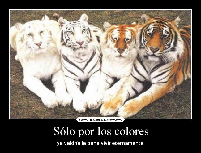 Sólo por los colores - ya valdría la pena vivir eternamente.