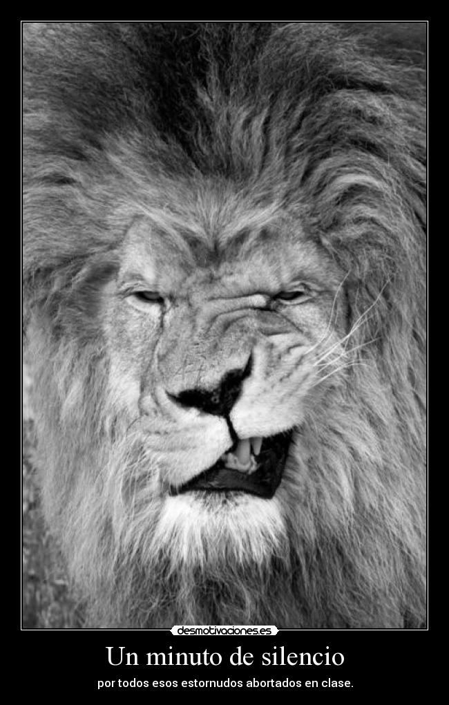 Un minuto de silencio - 