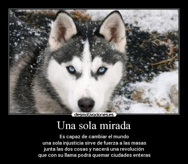 Una sola mirada - Es capaz de cambiar el mundo
una sola injusticia sirve de fuerza a las masas
junta las dos cosas y nacerá una revolución
que con su llama podrá quemar ciudades enteras