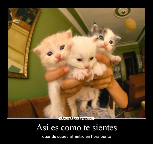 carteles asi como sientes seria una buena moda carteles desmotivaciones