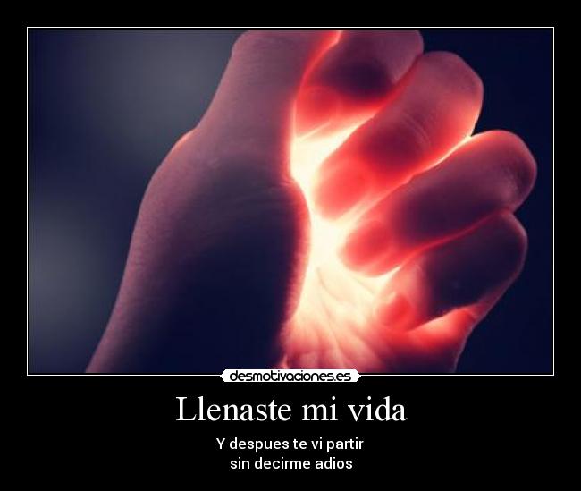 carteles vida vida desmotivaciones