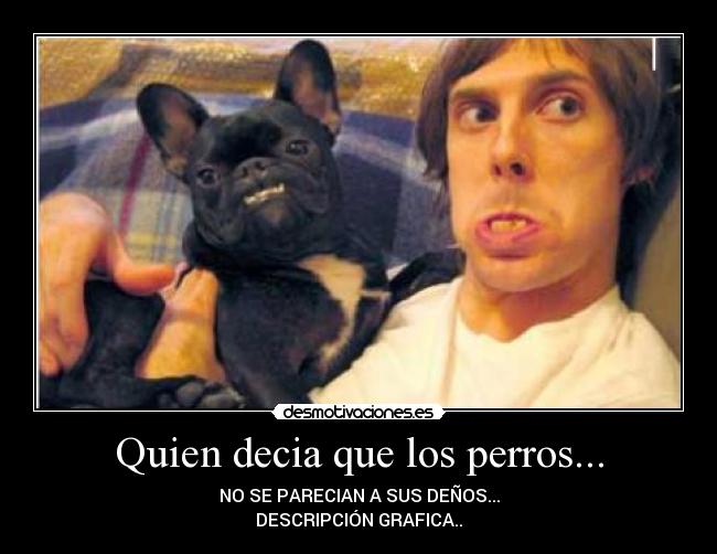 Quien decia que los perros... - NO SE PARECIAN A SUS DEÑOS...
DESCRIPCIÓN GRAFICA..
