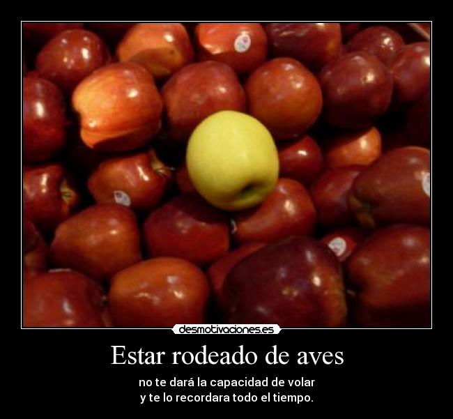 Estar rodeado de aves - no te dará la capacidad de volar
y te lo recordara todo el tiempo.