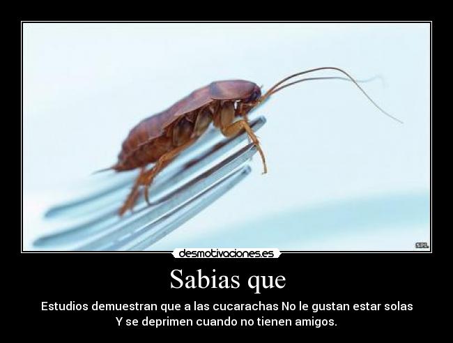 carteles raul desmotivaciones