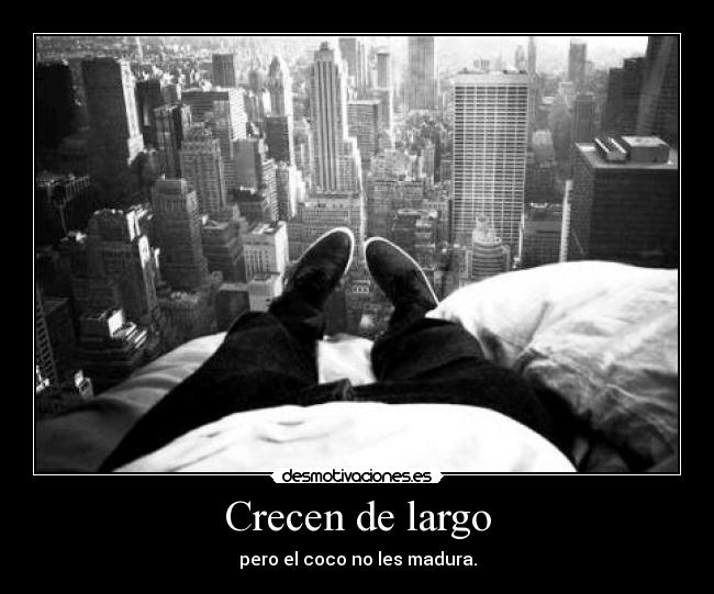 Crecen de largo - pero el coco no les madura.