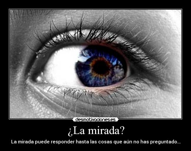 ¿La mirada? - La mirada puede responder hasta las cosas que aún no has preguntado...
