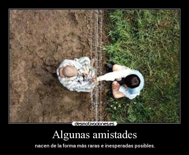 Algunas amistades - nacen de la forma más raras e inesperadas posibles.