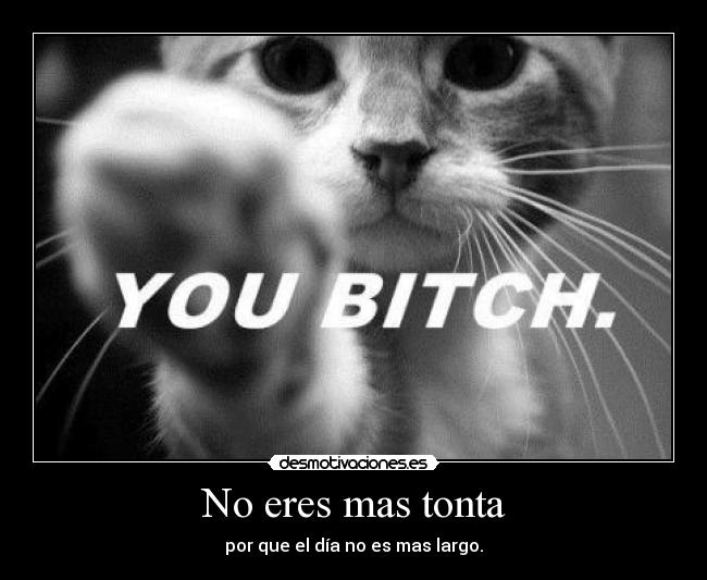 No eres mas tonta - 