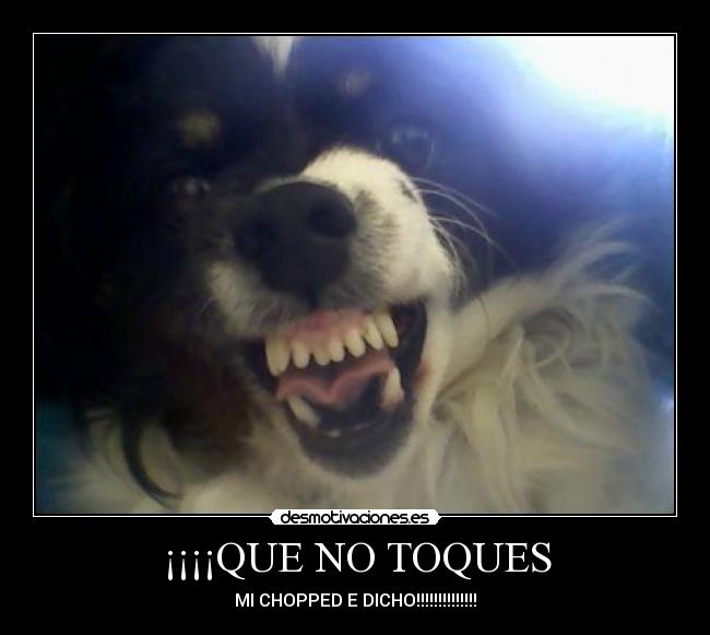 carteles manchita desmotivaciones