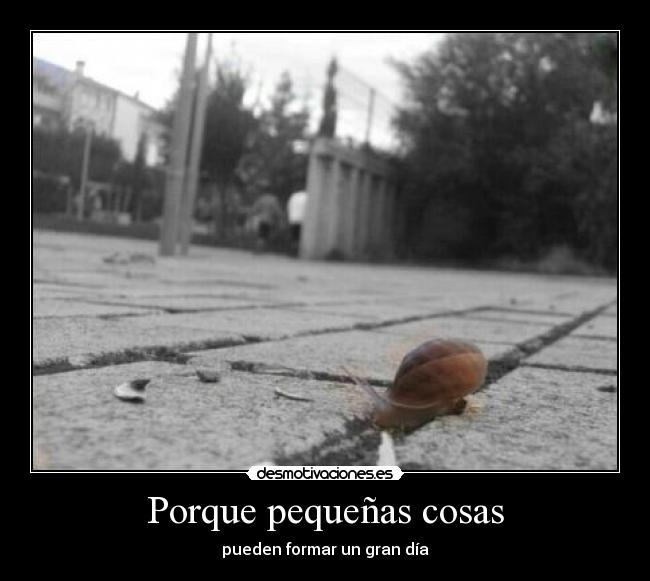 Porque pequeñas cosas -