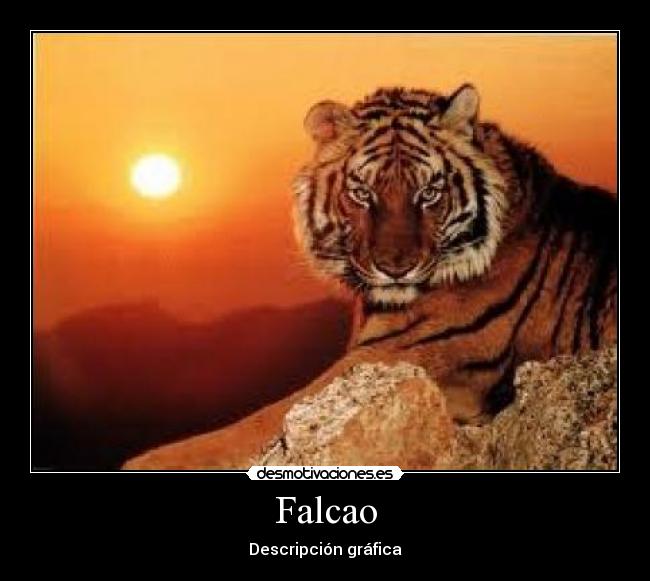 carteles falcao tigre desmotivaciones