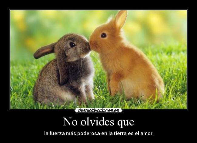No olvides que - la fuerza más poderosa en la tierra es el amor.