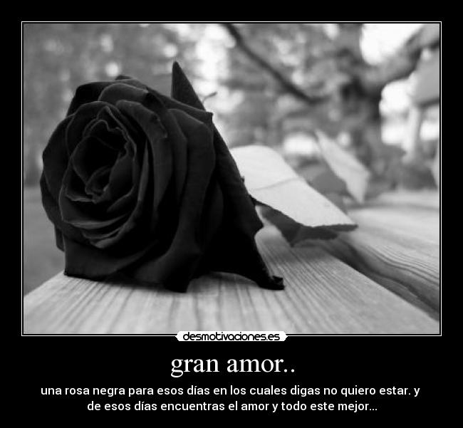 gran amor.. - 