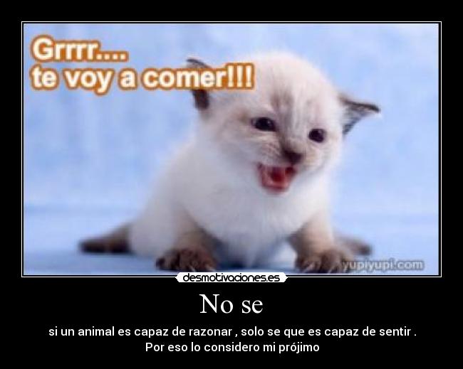 No se - si un animal es capaz de razonar , solo se que es capaz de sentir .
Por eso lo considero mi prójimo