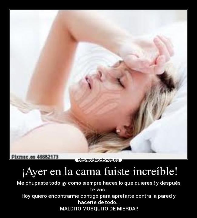 ¡Ayer en la cama fuiste increíble! - 