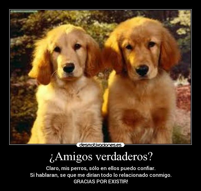 carteles amigos amigos verdaderos desmotivaciones