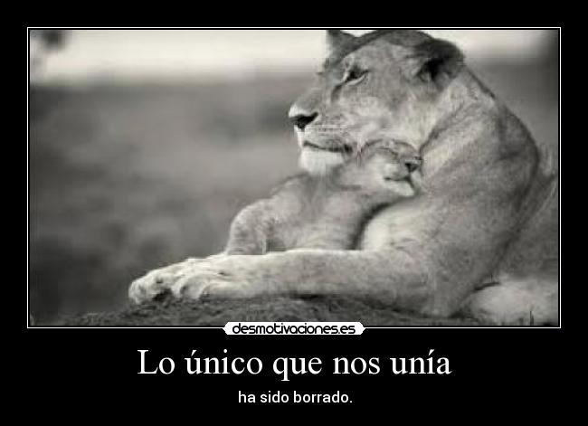 Lo único que nos unía -