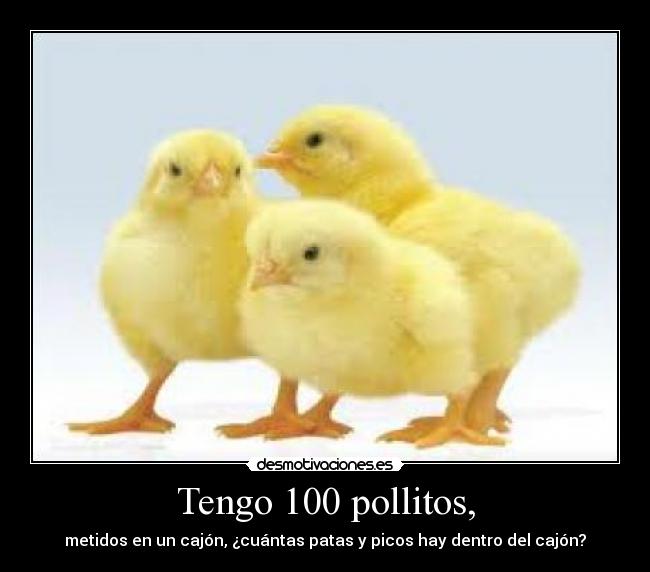 Tengo 100 pollitos, - metidos en un cajón, ¿cuántas patas y picos hay dentro del cajón?