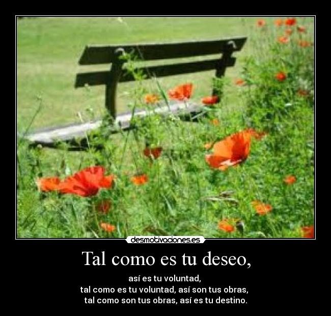 carteles raquelboix desmotivaciones