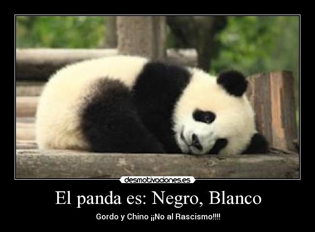 El panda es: Negro, Blanco - Gordo y Chino ¡¡No al Rascismo!!!!