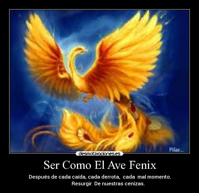 Ser Como El Ave Fenix - 