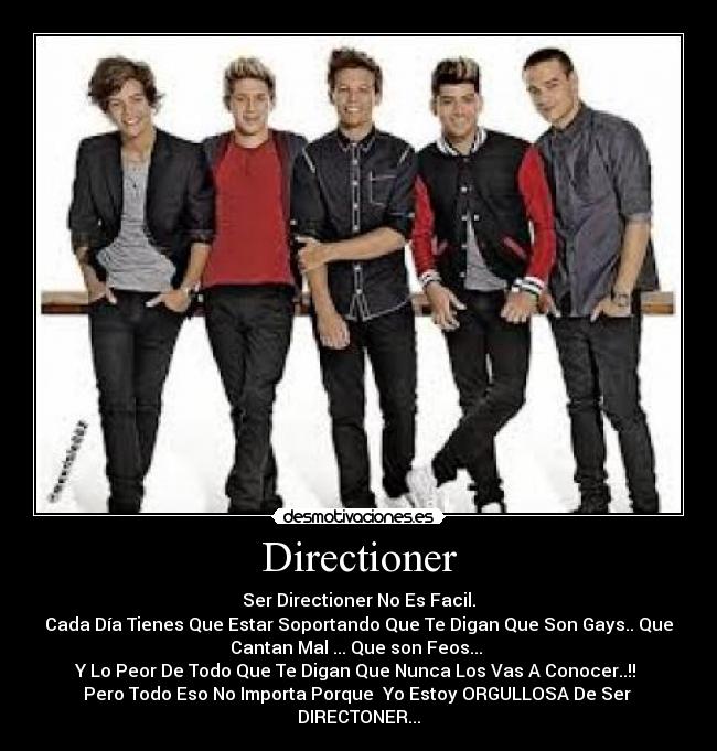 carteles directioner desmotivaciones