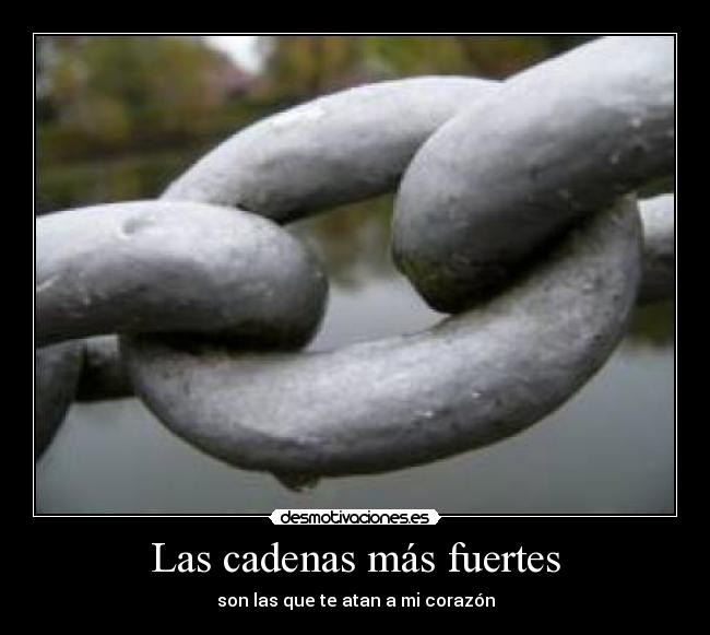 carteles amoor desmotivaciones