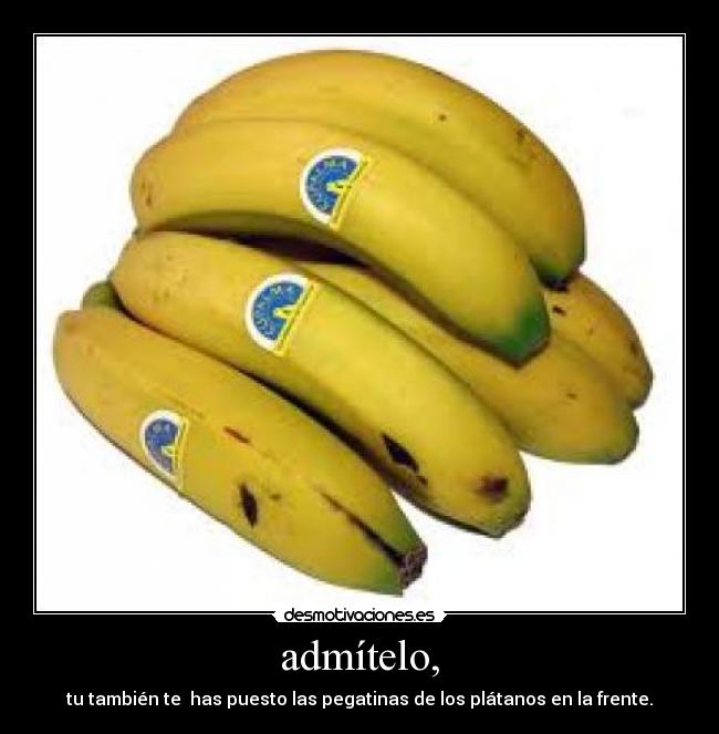 carteles boboblooper desmotivaciones