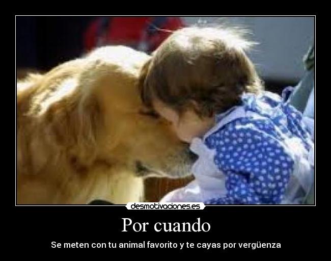 Por cuando - Se meten con tu animal favorito y te cayas por vergüenza