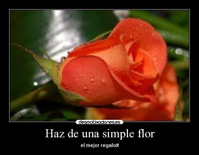 carteles para desmotivaciones