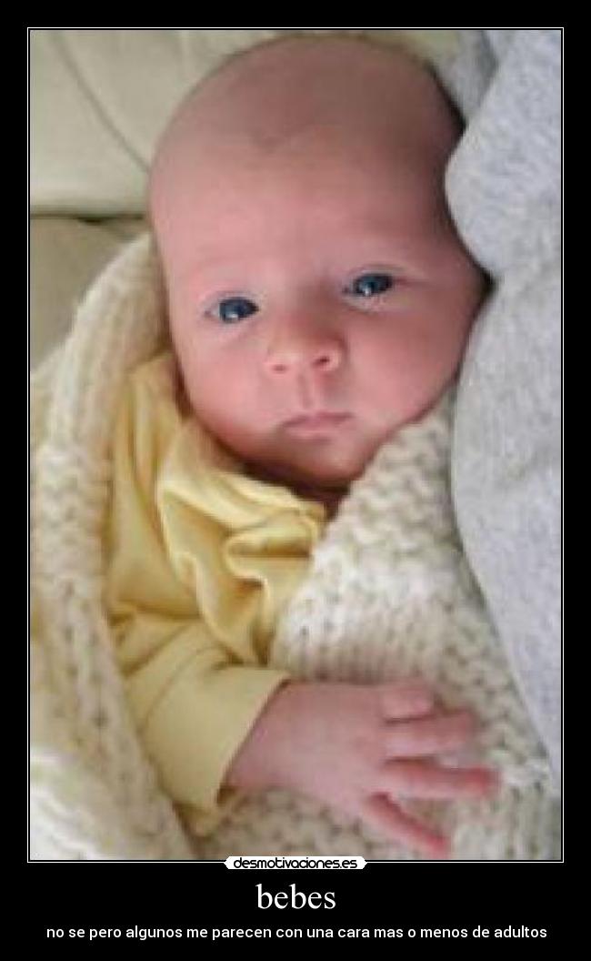 carteles bebes adultos cara desmotivaciones